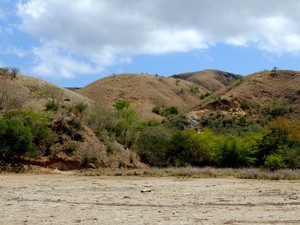 Pulau Komodo Saat Kemarau, Gersang Tapi Cantik!