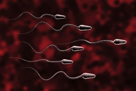 Awas! Virus Ebola Bisa Hidup Lama di Air Mani