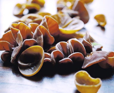 Jamur Hitam, Keluak dan Wijen Hitam Sarat Khasiat Kesehatan (2)