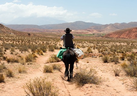 Ini 4 Peraturan Paling Ajaib di Argentina