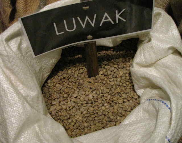 Wamendag: Sama Seperti Batik, Kopi Luwak Sulit Dipatenkan RI