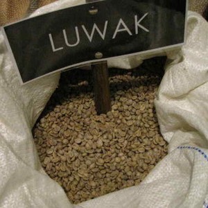 Wamendag: Sama Seperti Batik, Kopi Luwak Sulit Dipatenkan RI