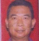 Kabel Optic First Media Melintas Halaman rumah