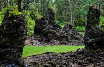 Hutan Unik di Hawaii, Pohonnya Terbuat dari Lahar