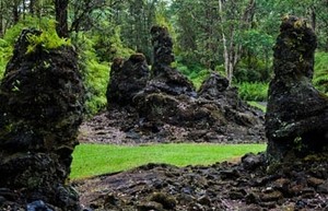 Hutan Unik di Hawaii, Pohonnya Terbuat dari Lahar
