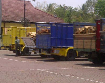 Ribuan Kayu Ilegal Diamankan
