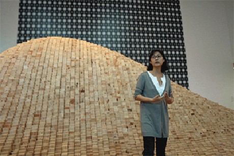 Aktivis Lingkungan Maya Lin Menangkan Penghargaan Seni