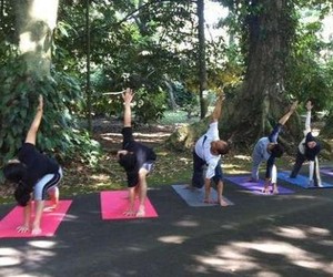 Yuk Mencoba Segarnya Yoga di Kebun Raya Bogor