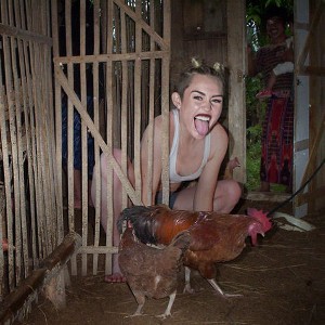 Weeek! Miley Cyrus pun Melet di Kandang Ayam