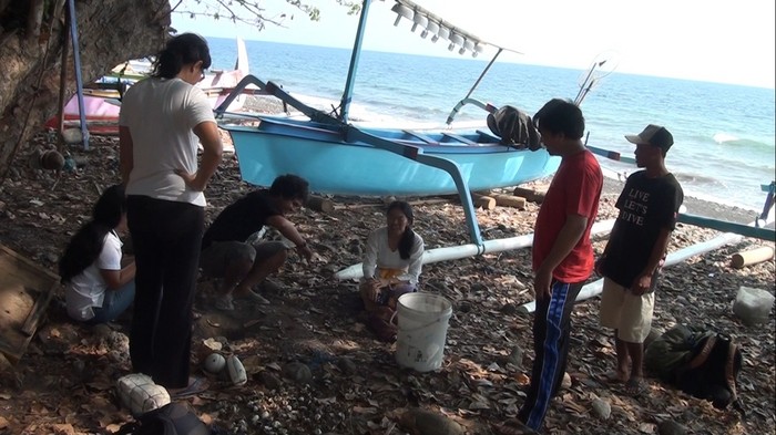 Tak Biasanya Penyu ini Bertelur di Singaraja, Aktivis dan Warga Gembira
