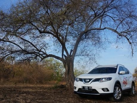 Penjualan All New X-Trail di Luar Ekspektasi Nissan