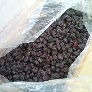 Mencicipi Kurma Jumbo di Pasar Kurma Madinah