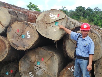 RI Kini Punya Sertifikat Kayu yang Diakui Dunia