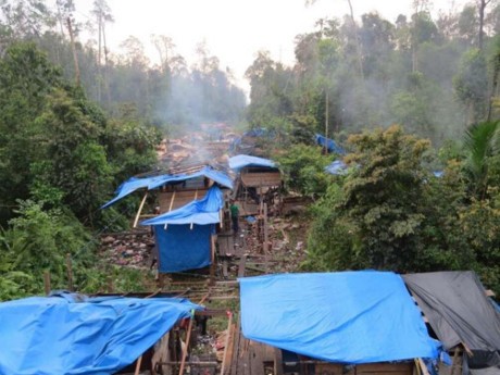 Ini Aksi Illegal Logging Penyebab Kabut Asap yang Tertangkap Kamera