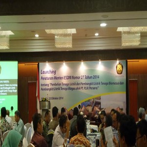 Pemerintah Dorong PLN Beli Listrik dari Limbah Sawit Hingga Singkong