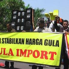 Petani Tebu Lumajang Tuntut Pemerintat Cabut Kebijakan Impor Gula
