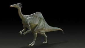 Teka-teki Lengan Dinosaurus Terjawab