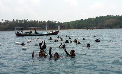 Keindahan Bawah Laut Bawean Diklaim Terindah se Jatim