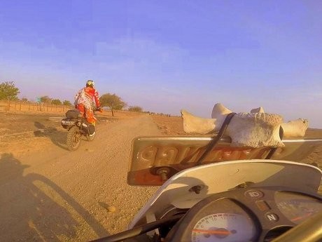 Asyiknya Bermain di Taman Nasional Baluran