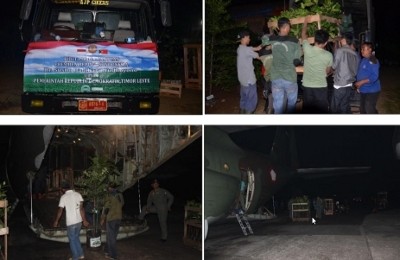 50.000 Bibit Pohon dari Indonesia Dikirim ke Timor Leste