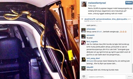 Hii...Ada Ular Menyelinap di Mobil Maia Estianty