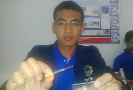 Dua Penemuan Ini Mampu Cek Kandungan Boraks Pada Makanan