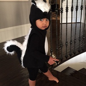 Foto: Lucunya North West Pakai Kostum Musang Saat Rayakan Halloween