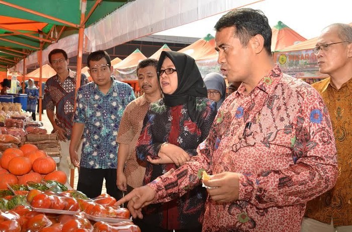 Ini Pesan Buat Mentan Amran dari Guru Besar UI dan Direktur LSM