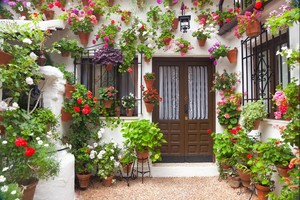 Cantiknya! Festival Bunga Pekarangan Rumah di Cordoba, Spanyol
