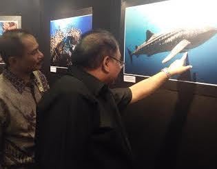 Menpar Arief Yahya Takjub Melihat Foto Bawah Laut Indonesia