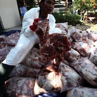 2 Ton Daging Celeng Ilegal akan Dimusnahkan di Cilegon