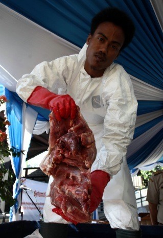 Kasus Temuan Daging Celeng di Merak, Barantan Sita 27 Karung