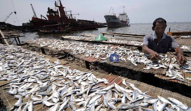 Tak Rela Ikan di Laut RI Dicuri, Pengusaha Ini Dukung Gebrakan Menteri Susi