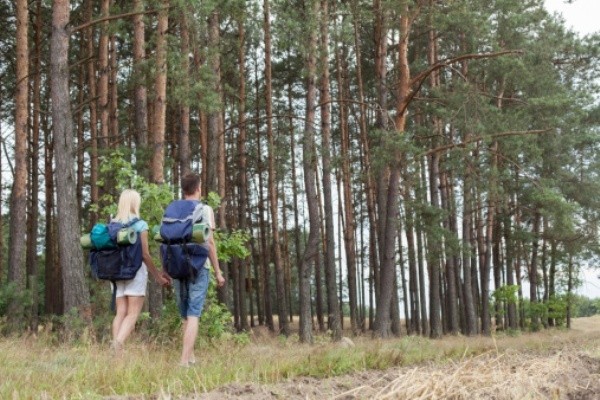 5 Tips Traveling ke Hutan