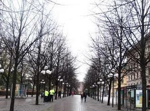 Dingin & Gelap, Seakan Mentari Tak Hadir di Stockholm