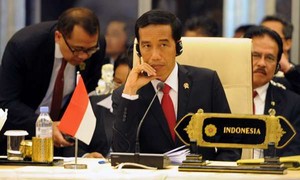 Tindak Lanjuti KTT APEC dan G-20, Jokowi Gelar Rapat Kabinet Besok