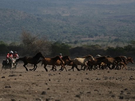 Merasakan Jadi Koboi Amerika di Pulau Sumbawa