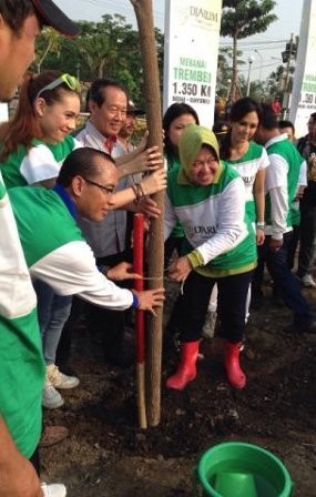 Shae Antusias Tanam Trembesi Bersama Wali Kota Risma