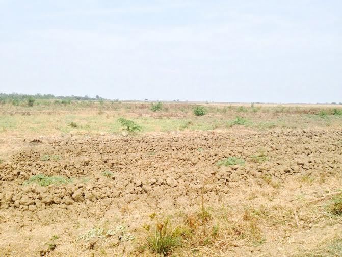 1.000 Hektar Sawah di Brebes Kering, Ini Langkah Mentan Amran