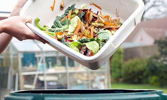 Hindari Pemborosan Makanan dengan Cara Sederhana Ini (1)