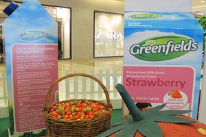Greenfields Strawberyville Meriahkan Hadirnya Susu Segar Strawberry yang Manis Harum