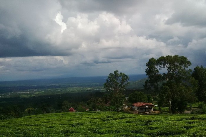 Jatuh Cinta di Pagaralam & Gunung Dempo
