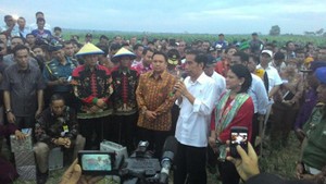 Berdialog dengan Jokowi di Sawah, Petani Lampung Curhat Soal Pupuk dan Irigasi