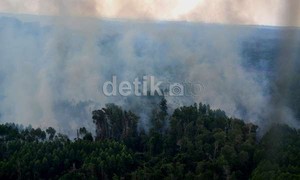 Moratorium Hutan Dinilai Tak Jamin Efektif Tanggulangi Kebakaran Lahan