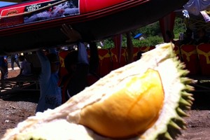 Usai Adu Rafting, Ada Pesta Durian di Empat Lawang