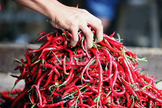 Produksi Cabai Surplus 9% Tapi Harga Cabai Melonjak, Ini Alasannya