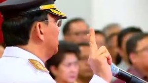 Tolak Boy Sadikin Jadi Wagub, Ahok Konsultasikan 3 Nama ke Mega