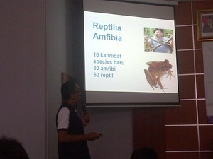 Ekspedisi ke Papua Barat, Eh..Ada Katak Bermulut Sempit