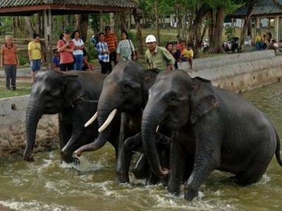 4 Alasan Kenapa Harus Akhir Pekan di Lampung