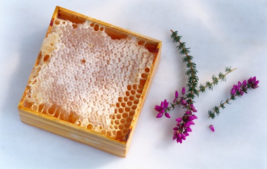 Ini Dia 5 Madu Bernutrisi Hebat di Dunia!